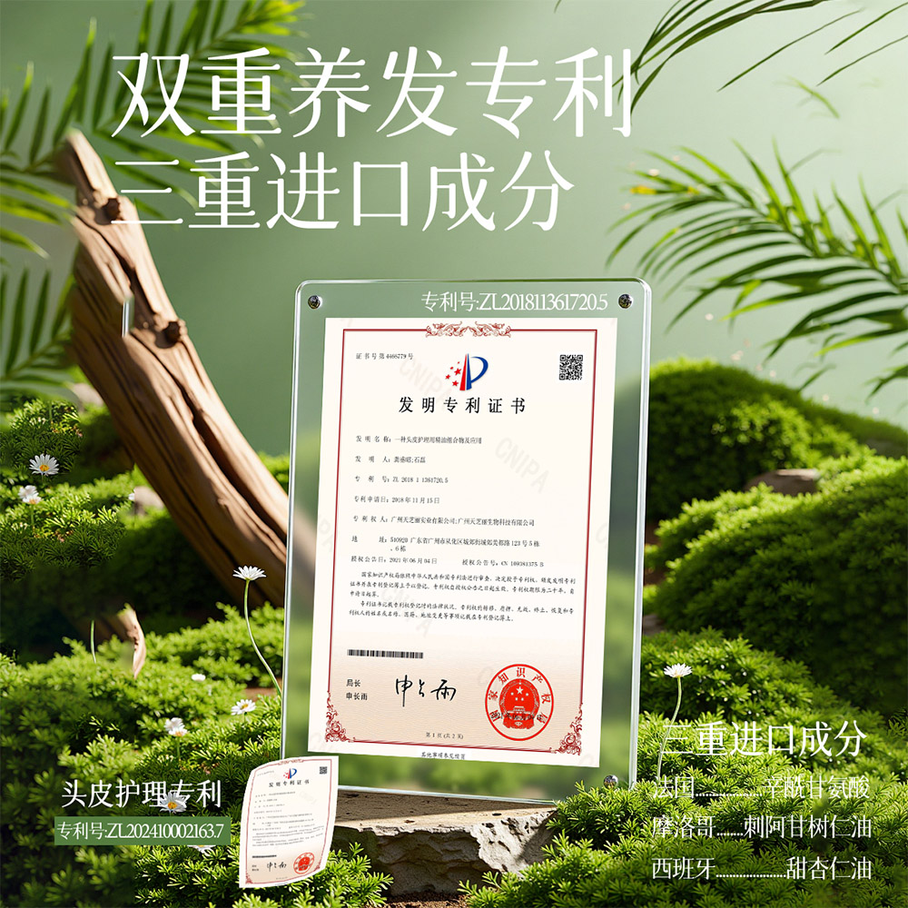 芦氧侧柏叶洗发皂专利证书
