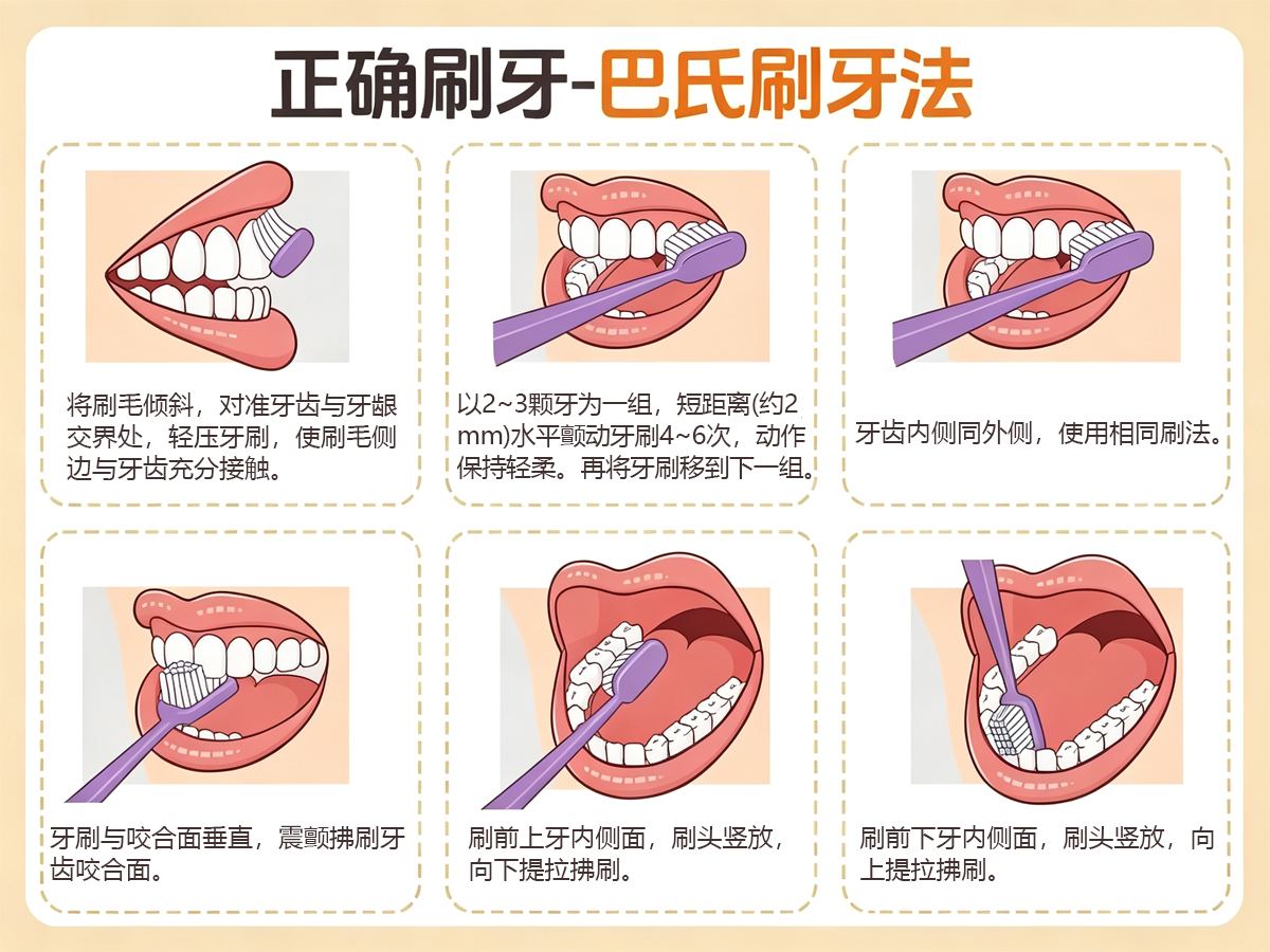 巴氏刷牙法的操作方法