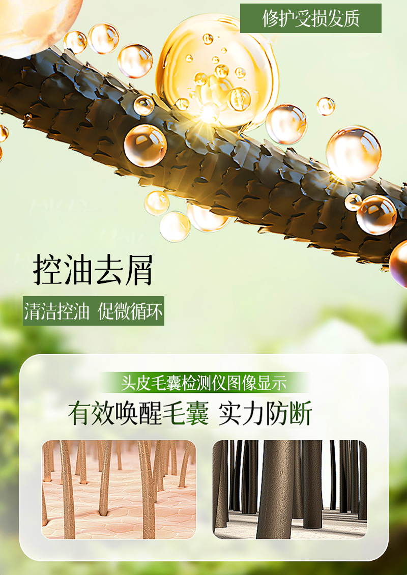 芦氧洗发皂-14控油原理-修护受损-毛囊检测-清洁控油